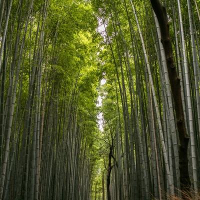 三国群英传霸王之业手游腾讯版下载